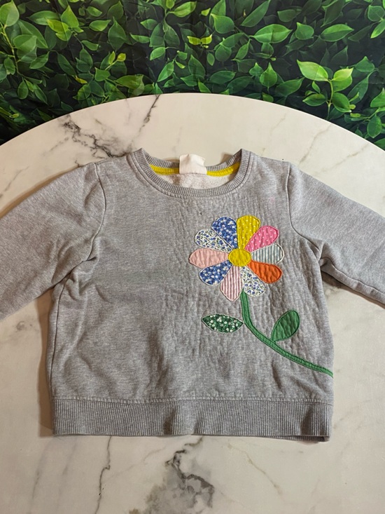 Mini Boden Other - Mini Boden Gray Sweatshirt with Multicolor Flower Appliqué